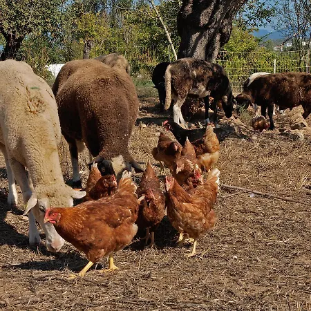 Casa Do Vale Da Lama Ecohotel & Retreat Centre In A Farm