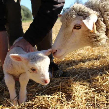 Casa Do Vale Da Lama Ecohotel & Retreat Centre In A Farm *